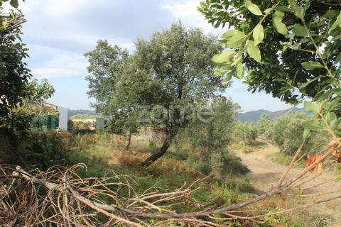 Terra a Melres e Medas, Porto, Melres e Medas - € 145.000 | Ref: ZMPT584747 - foto 11