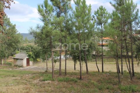 Terra a Melres e Medas, Porto, Melres e Medas - € 145.000 | Ref: ZMPT584747 - foto 23