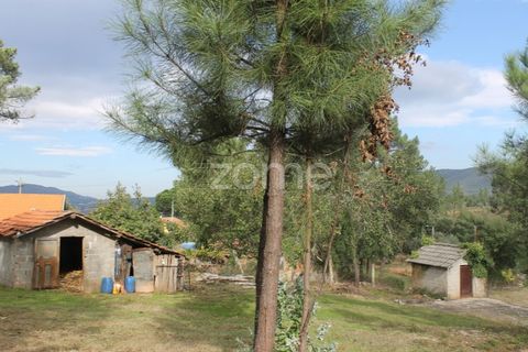 Terra a Melres e Medas, Porto, Melres e Medas - € 145.000 | Ref: ZMPT584747 - foto 22