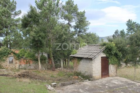 Terra a Melres e Medas, Porto, Melres e Medas - € 145.000 | Ref: ZMPT584747 - foto 19