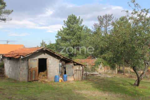 Terra a Melres e Medas, Porto, Melres e Medas - € 145.000 | Ref: ZMPT584747 - foto 21