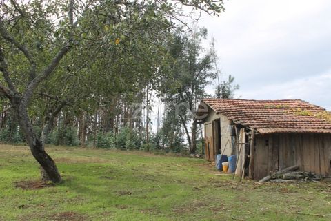 Tomt i Melres e Medas, Porto, Melres e Medas - € 145 000 | Ref: ZMPT584747 - foto 22