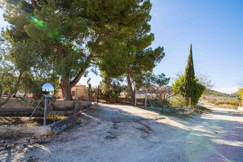 Landejendom i Raspay, Murcia, Raspay - € 300.000 | Ref: ANN-R159 - foto 15