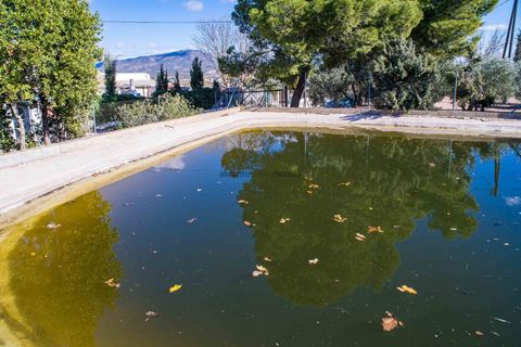 Landejendom i Raspay, Murcia, Raspay - € 300.000 | Ref: ANN-R159 - foto 17