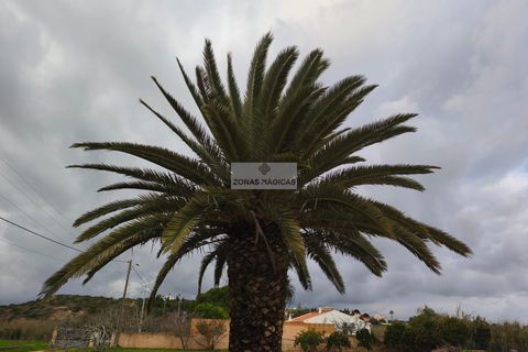 Farm hus i Lagos, Faro, Lagos - € 1.250.000 | Ref: Q0092 - foto 20