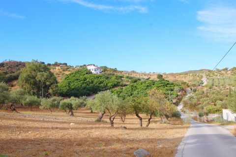 Finca i Coin, Malaga, Coin - € 650 000 | Ref: DPIe508 - foto 7