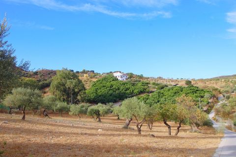 Finca i Coin, Malaga, Coin - € 650 000 | Ref: DPIe508 - foto 10