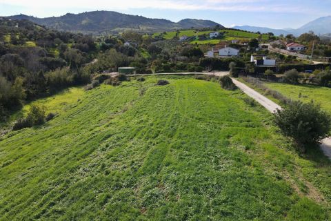 Finca i Coin, Malaga, Coin - € 595.000 | Ref: DPIe32424 - foto 11