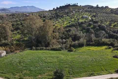 Finca i Coin, Malaga, Coin - € 595.000 | Ref: DPIe32424 - foto 13