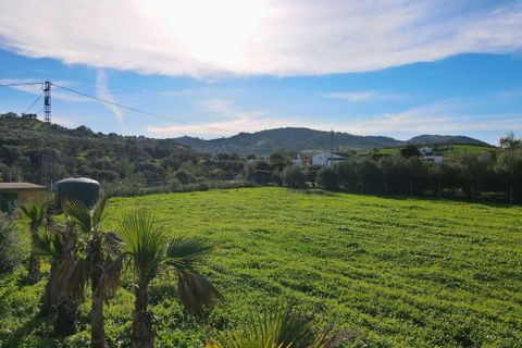 Finca i Coin, Malaga, Coin - € 595.000 | Ref: DPIe32424 - foto 15