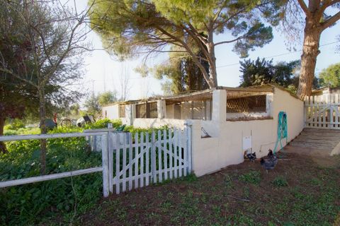 Villa i Cartama, Malaga, Cartama - € 549.000 | Ref: DPIe35008 - foto 27