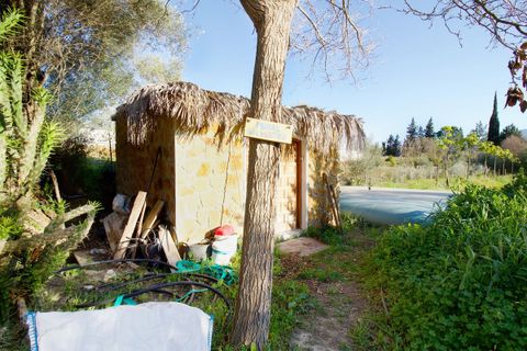 Villa i Cartama, Malaga, Cartama - € 549.000 | Ref: DPIe35008 - foto 29