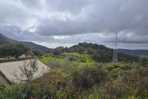 Helårsgrund i Benahavis, Malaga, Benahavis - € 3.900.000 | Ref: DPIe36193 - foto 3