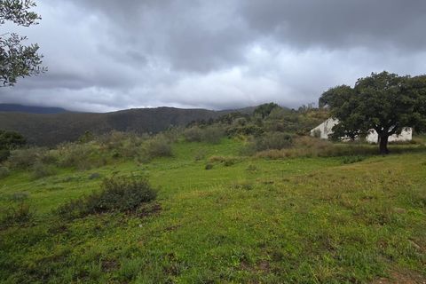 Helårsgrund i Benahavis, Malaga, Benahavis - € 3.900.000 | Ref: DPIe36193 - foto 4