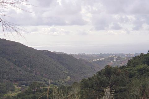 Helårsgrund i Benahavis, Malaga, Benahavis - € 3.900.000 | Ref: DPIe36193 - foto 7
