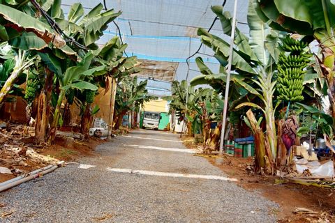 Villa i Galdar, Gran Canaria, Galdar - € 1.750.000 | Ref: 13883-JMZ/2912 - foto 4