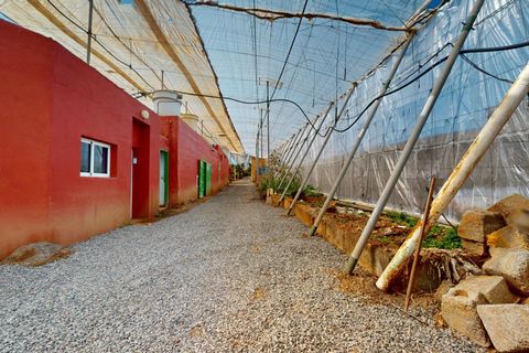 Villa i Galdar, Gran Canaria, Galdar - € 1.750.000 | Ref: 13883-JMZ/2912 - foto 6