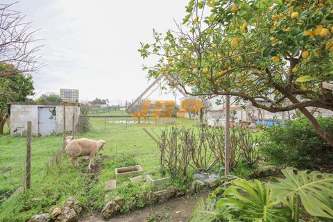 Villa a Santarem, Santarem, Santarem - € 450.000 | Ref: 0109 - foto 36