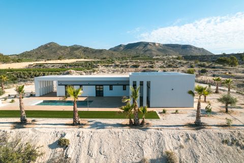 Villa i Pinoso, Alicante, Pinoso - € 465.000 | Ref: V-11550 - foto 4