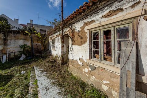 Villa a Santarem, Santarem, Santarem - € 105.000 | Ref: FR967 - foto 14
