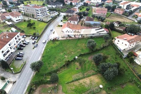 Helårsgrund i Ponte de Lima, Viana do Castelo, Ponte de Lima - € 225.000 | Ref: V406 - foto 2