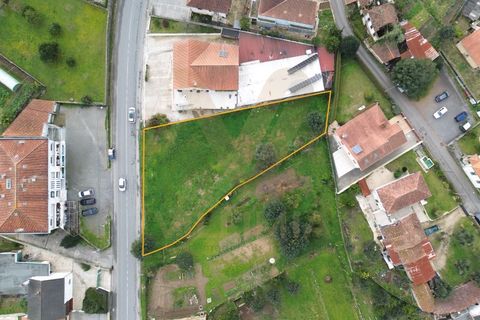 Helårsgrund i Ponte de Lima, Viana do Castelo, Ponte de Lima - € 225.000 | Ref: V406 - foto 3