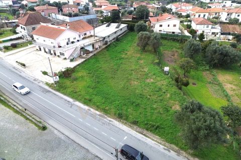 Helårsgrund i Ponte de Lima, Viana do Castelo, Ponte de Lima - € 225.000 | Ref: V406 - foto 6