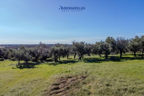 Villa i Noto, Siracusa, Noto - € 1.200.000 | Ref: 1241 - foto 3