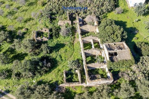 Villa i Noto, Siracusa, Noto - € 1.200.000 | Ref: 1241 - foto 6