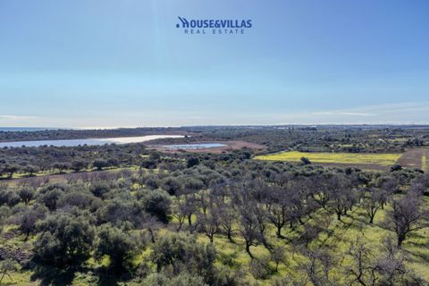 Villa i Noto, Siracusa, Noto - € 1.200.000 | Ref: 1241 - foto 10