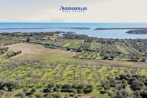 Villa i Noto, Siracusa, Noto - € 1.200.000 | Ref: 1241 - foto 15