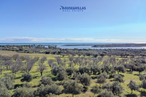 Villa i Noto, Siracusa, Noto - € 1.200.000 | Ref: 1241 - foto 16