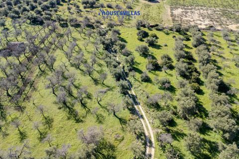 Villa i Noto, Siracusa, Noto - € 1.200.000 | Ref: 1241 - foto 18