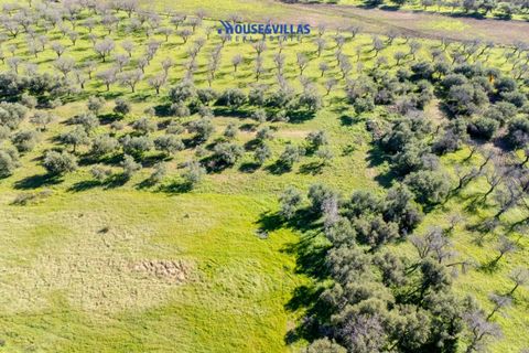 Villa i Noto, Siracusa, Noto - € 1.200.000 | Ref: 1241 - foto 20