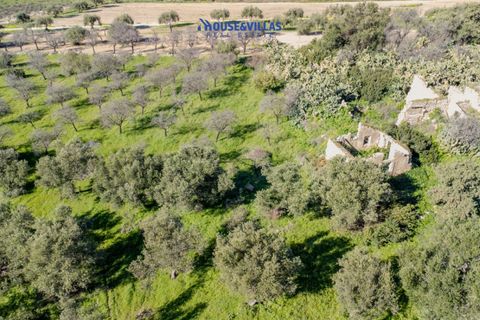 Villa i Noto, Siracusa, Noto - € 1.200.000 | Ref: 1241 - foto 22