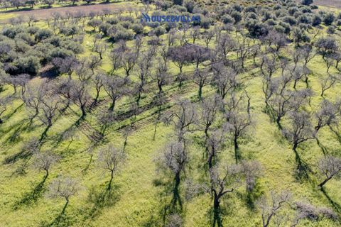 Villa i Noto, Siracusa, Noto - € 1.200.000 | Ref: 1241 - foto 27