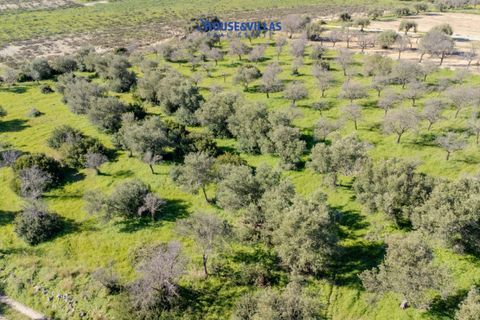 Villa i Noto, Siracusa, Noto - € 1.200.000 | Ref: 1241 - foto 28