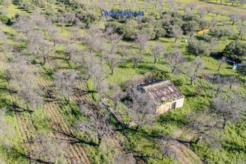 Villa i Noto, Siracusa, Noto - € 1.200.000 | Ref: 1241 - foto 29