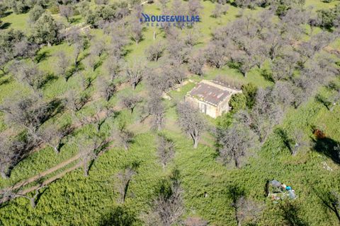Villa i Noto, Siracusa, Noto - € 1.200.000 | Ref: 1241 - foto 30