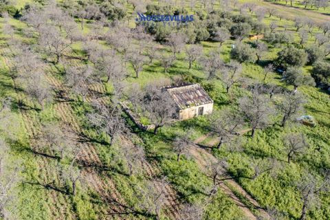 Villa i Noto, Siracusa, Noto - € 1.200.000 | Ref: 1241 - foto 31