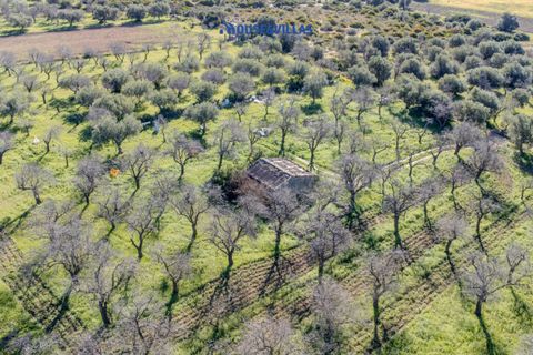 Villa i Noto, Siracusa, Noto - € 1.200.000 | Ref: 1241 - foto 33