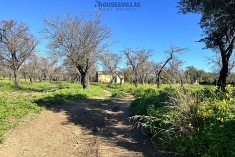 Villa i Noto, Siracusa, Noto - € 1.200.000 | Ref: 1241 - foto 34