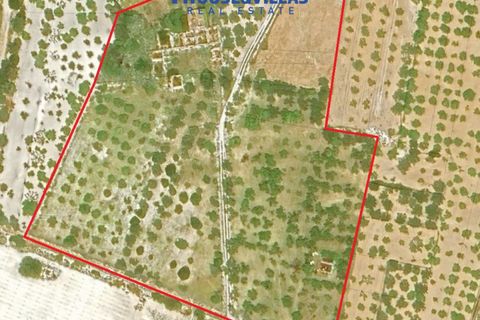 Villa i Noto, Siracusa, Noto - € 1.200.000 | Ref: 1241 - foto 37
