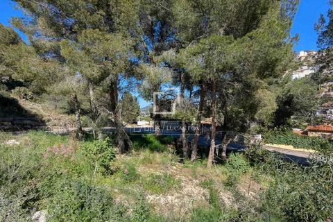 Villa i Pedreguer, Alicante, Pedreguer - € 733.000 | Ref: JAV66173 - foto 11