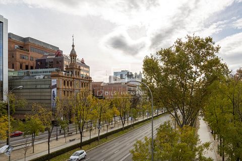 Leilighet i Madrid, Madrid, Madrid - € 995 000 | Ref: MAD66199 - foto 19