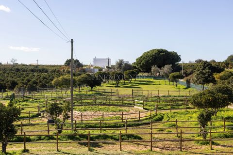 Farm hus i Olhao, Faro, Olhao - € 439.000 | Ref: FC055TVZ - foto 18