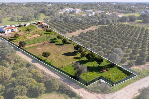 Farm hus i Olhao, Faro, Olhao - € 439.000 | Ref: FC055TVZ - foto 21