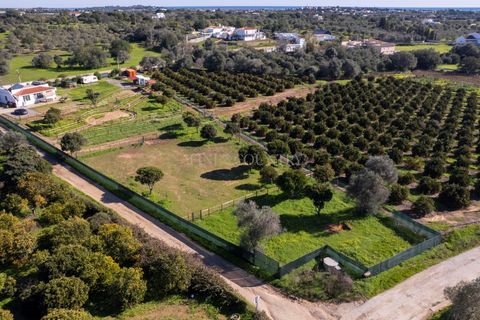 Farm hus i Olhao, Faro, Olhao - € 439.000 | Ref: FC055TVZ - foto 26