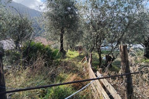 Villa a Perinaldo, Imperia, Perinaldo - € 330.000 | Ref: 1123 - foto 6