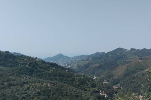 Villa a Perinaldo, Imperia, Perinaldo - € 330.000 | Ref: 1123 - foto 23